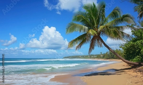 Obraz Tropical beach paradise with palm trees and crystal clear waters