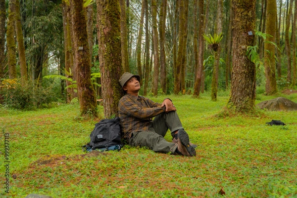 Fototapeta An adventurer was leaning against a beautiful pine tree with a stretch of green grass. Asian man is enjoying the tranquility of nature by resting on the green grass in the pine forest area