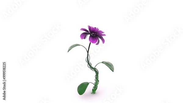 Fototapeta A delicate purple flower with a twisted green stem and broad leaves, standing tall on a clean white background. The image symbolizes nature, simplicity, and beauty.
