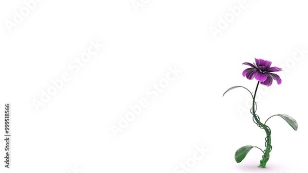 Fototapeta A delicate purple flower with a twisted green stem and broad leaves, standing tall on a clean white background. The image symbolizes nature, simplicity, and beauty.