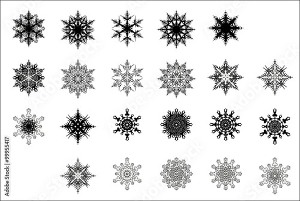 Obraz snowflake