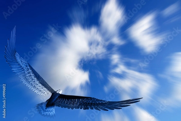 Fototapeta Aquila nel cielo