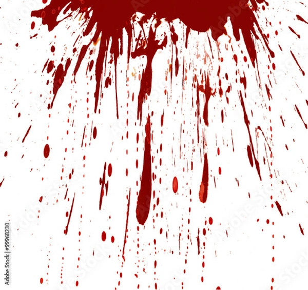 Obraz Mechanizm alergii