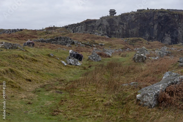 Obraz Grey cloudy day on Bodmin Moor England
