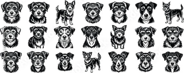 Fototapeta Dog silhouette collection vector. Dog in various poses and activities like jumping, sitting, running, playing, and standing. Silhouette black puppies, pet dog vector isolated on a white background.