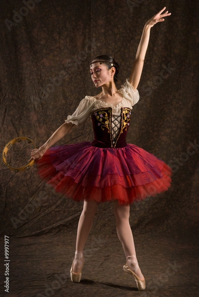 Obraz Danseuse-tambourin-japonaise-tutu