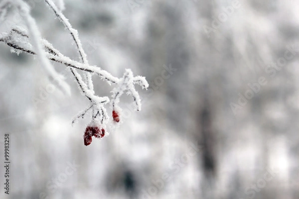 Fototapeta Зимний пейзаж