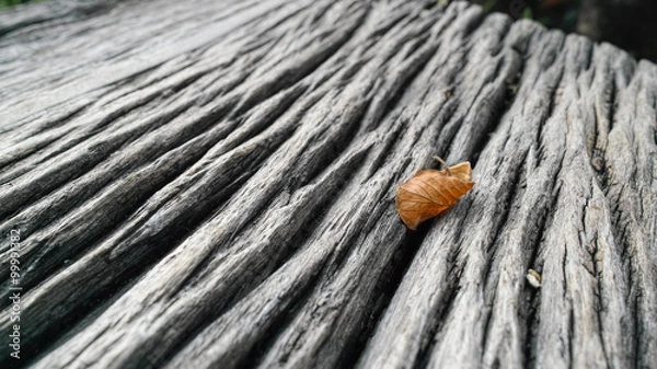 Fototapeta Leaf on Table