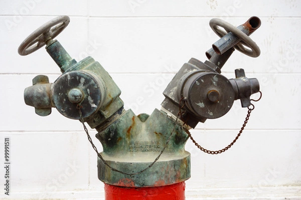 Fototapeta Fire Hose Connectors