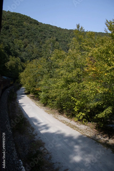 Obraz train ride in the mountains
