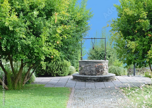 Fototapeta Medieval stone wishing well in Rocca Borromeo di Angera flanked by fruit-bearing pomegranate trees (Punica granatum, Lythraceae) on a summer day with clear blue sky, Italy