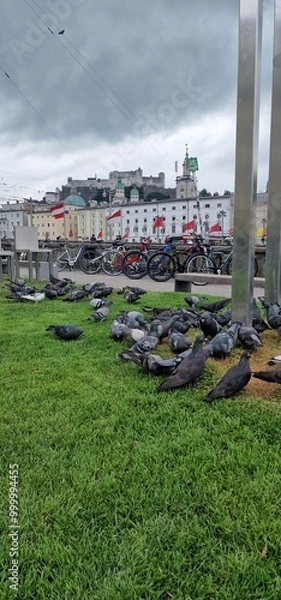 Fototapeta Salzburg is an Austrian city located near the border with Germany, known for its rich cultural heritage and stunning baroque architecture. It is famously the birthplace of composer Wolfgang Amadeus Mo