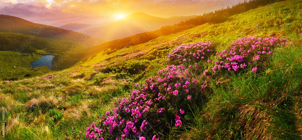 Obraz Górska Harmonia: Świt w Kwiatach