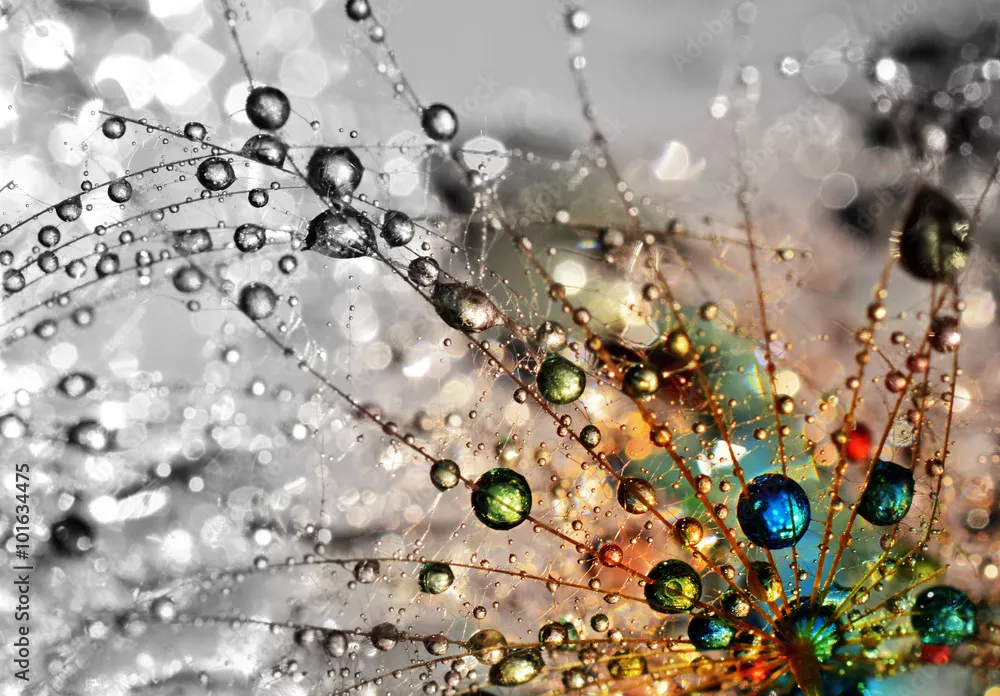 Fototapeta kolorowa natura