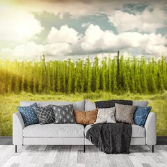 Obraz na płótnie w salonie