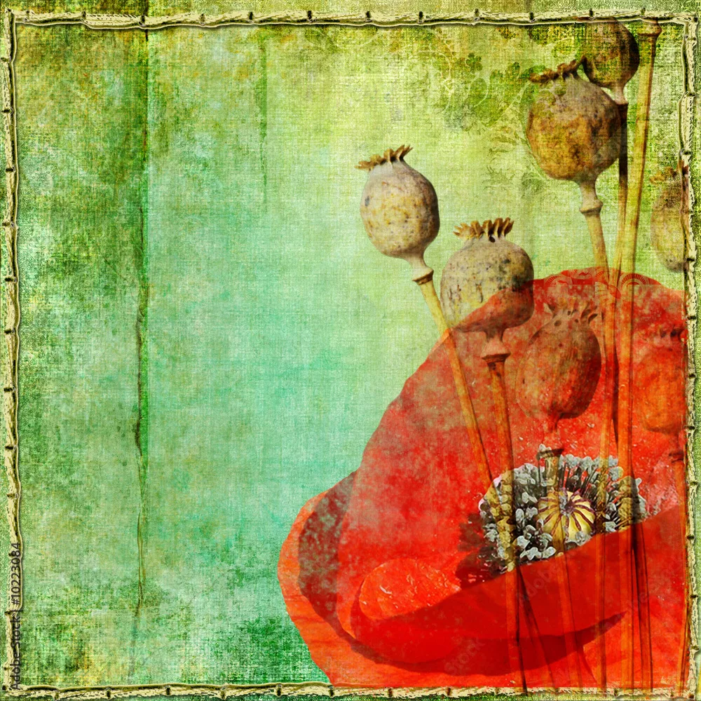 Fototapeta vintage papier z kwiatami maku