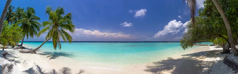 Fototapeta Panorama plaży na Malediwach z błękitnym niebem, palmami i turkusem
