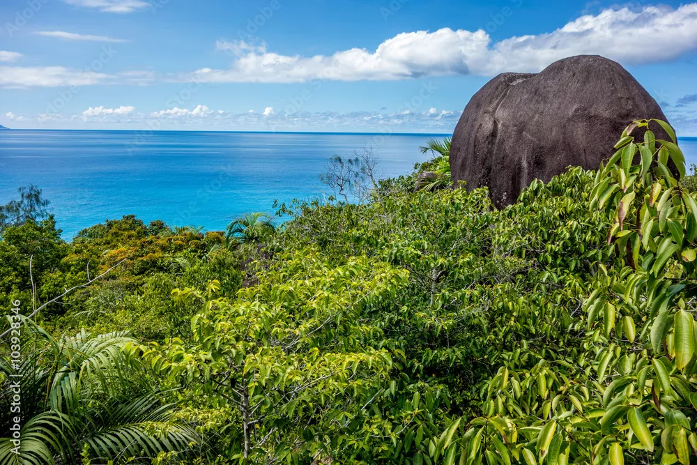 Fototapeta Park Narodowy Morne Seychellois - Mahe - Seszele