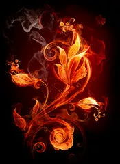 Obraz Fire Flower