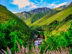 Fototapeta „Zielona Dolina Marzeń”