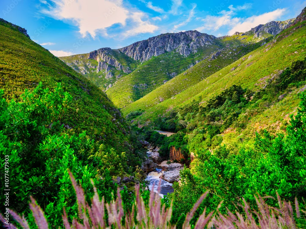 Fototapeta „Zielona Dolina Marzeń”