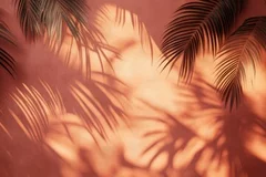 Fototapeta Subtelne cienie palm na pastelowej ścianie