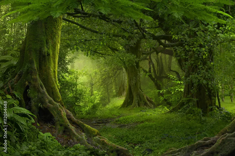 Fototapeta Tropikalna dżungla Azji Południowo-Wschodniej