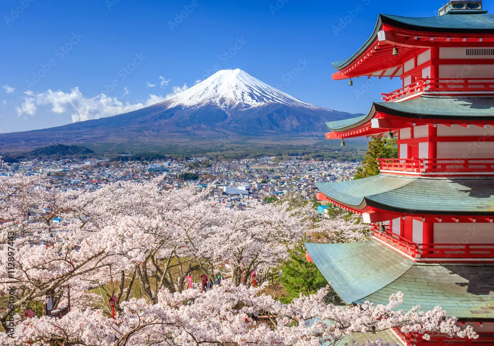 Fototapeta Mt. Fuji z Chureito Pagoda, Fujiyoshida, Japonia