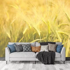 Obraz na płótnie w salonie