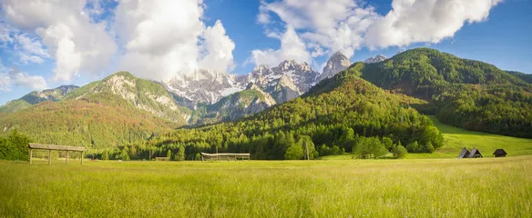 Fototapeta Górska,alpejska łąka
