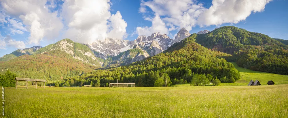 Fototapeta Górska,alpejska łąka