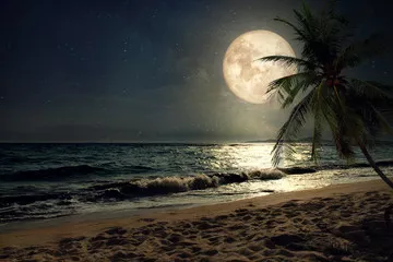 Fototapeta Piękna tropikalna plaża z gwiazdą Drogi Mlecznej na nocnym niebie, pełnia księżyca - grafika w stylu retro z odcieniem vintage (elementy tego księżycowego obrazu dostarczone przez NASA)