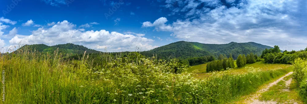Fototapeta Landscape in Bieszczady Mountains