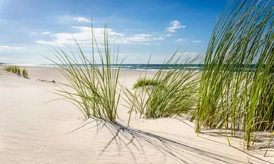 Obraz na płótnie – relaksujący widok piaszczystej plaży i błękitnego nieba