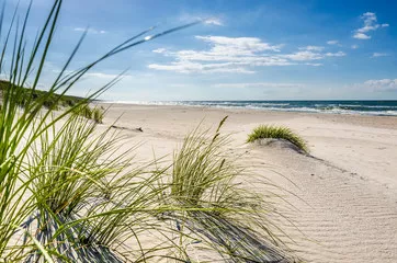 Fototapeta Mrzeżyno, plaża