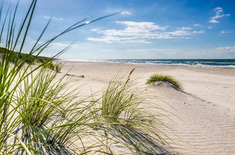 Fototapeta Mrzeżyno, plaża