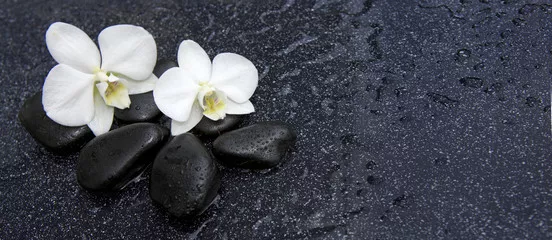 Fototapeta Pojedyncza biała orchidea i czarne kamienie z bliska.