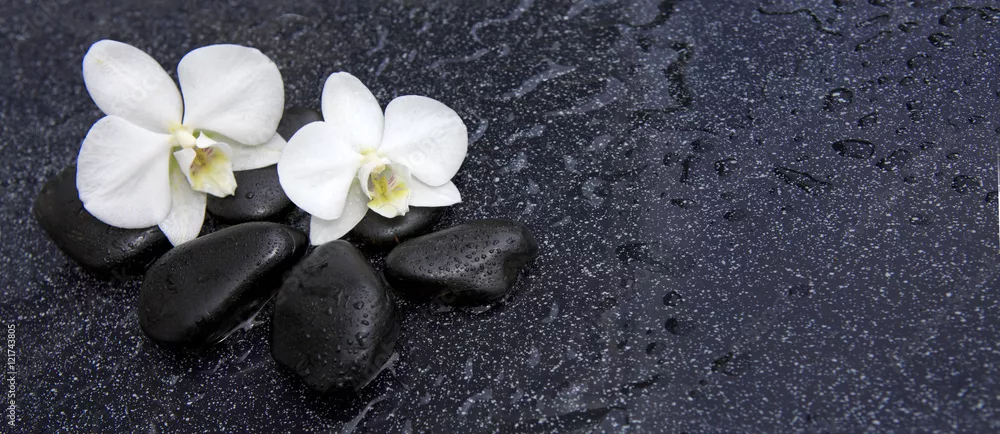 Fototapeta Pojedyncza biała orchidea i czarne kamienie z bliska.