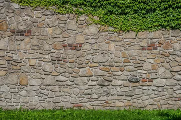 Fototapeta Średniowieczny mur wapienny porośnięty bluszczem