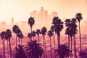 Fototapeta Panoramę Los Angeles z palmami na pierwszym planie