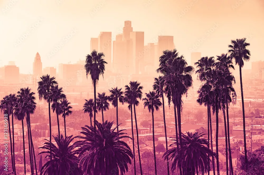 Fototapeta Panoramę Los Angeles z palmami na pierwszym planie