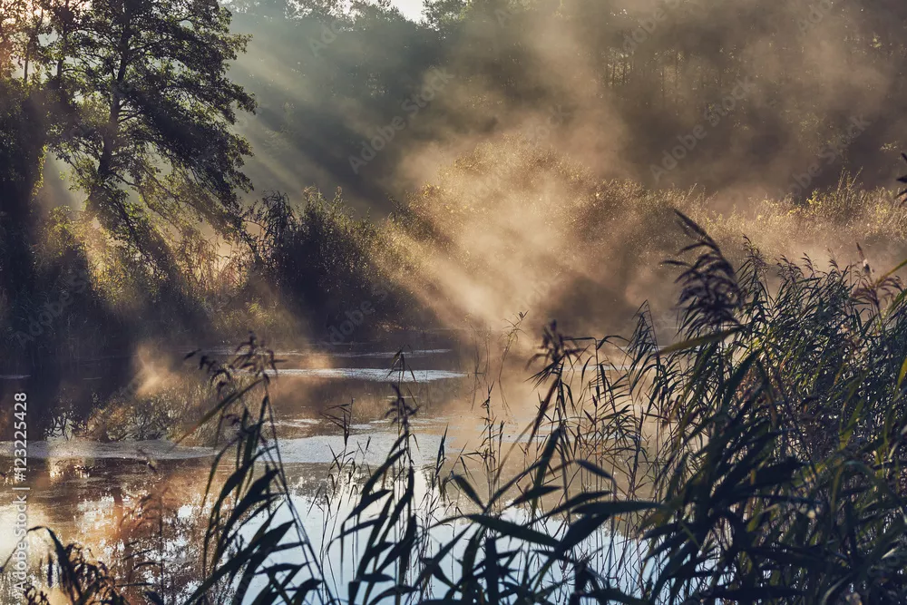 Fototapeta Magia Porannej Mgły nad Rzeką