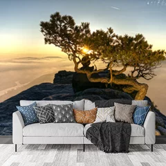 Obraz na płótnie w salonie