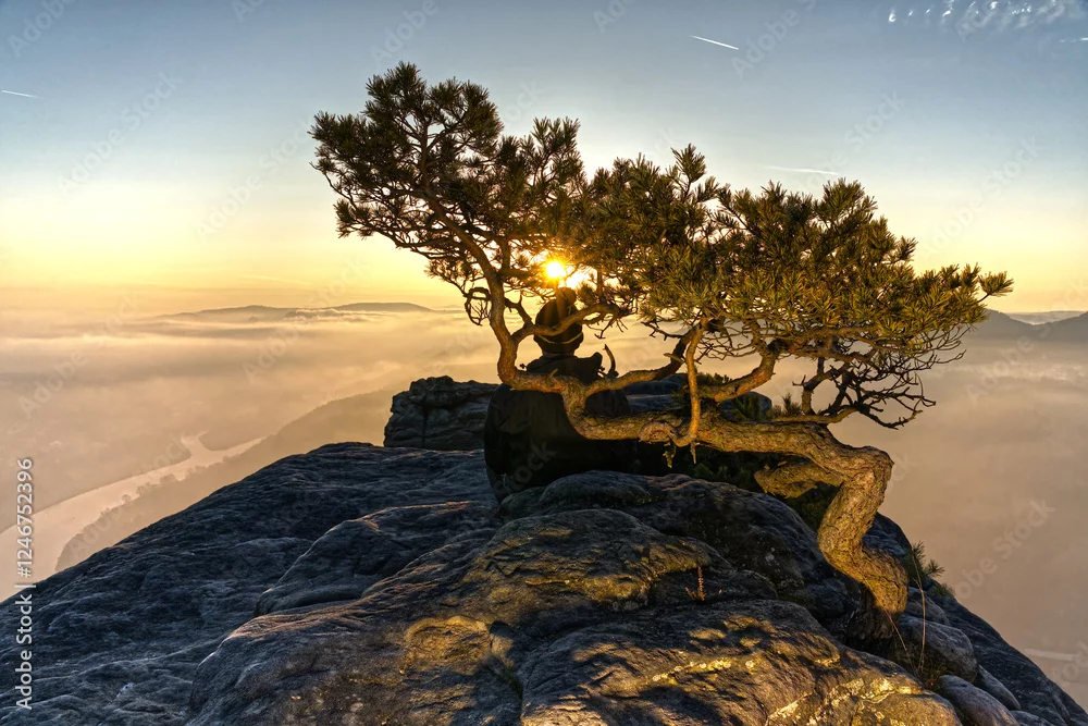 Fototapeta Magia Wschodu Słońca: Drzewo na Krawędzi Skarpy