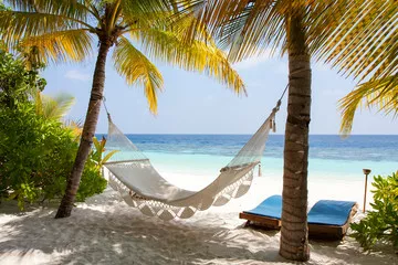 Fototapeta Maldive Amaca wśród palm