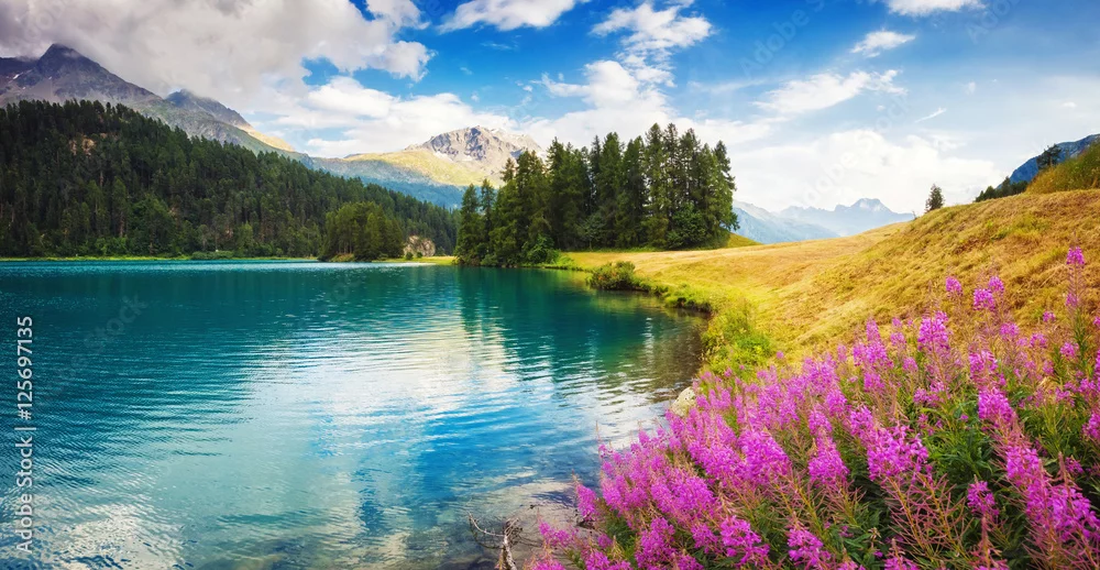 Obraz Spokój Górskiego Jeziora: Malowniczy Widok Natury