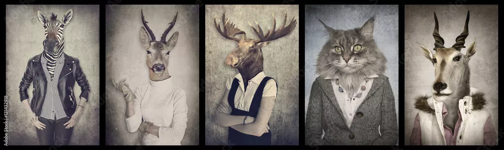 Fototapeta Zwierzęta w ubraniach. Grafika koncepcyjna w stylu vintage. Zebra, dee