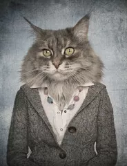 Obraz Biznesowy Kot w Eleganckim Ubraniu