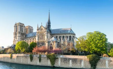 Fototapeta Katedra Notre Dame w Paryżu w jasne wiosenne popołudnie