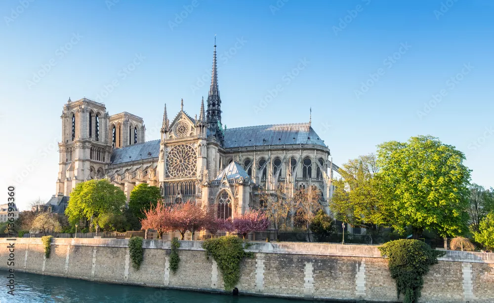 Fototapeta Katedra Notre Dame w Paryżu w jasne wiosenne popołudnie